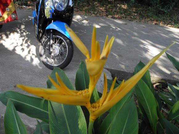 Spotting Image 1