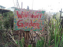 Wildflower Garden