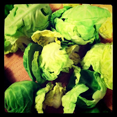 Baked Brussels Sprout Chips