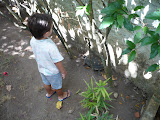 P1000873.JPG