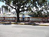 P1010415.JPG