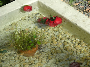 水の上の花