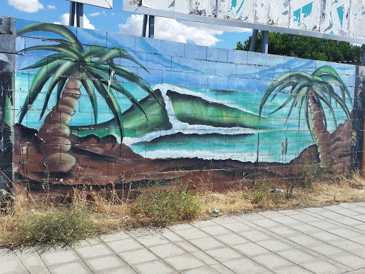 Zamora Graffiti Palmeras