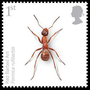 endangered ant stamp