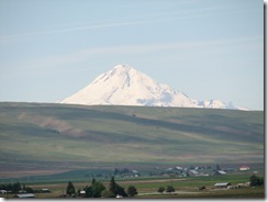 IMG_4397