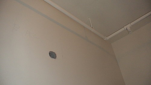 ap_20071105112940514
