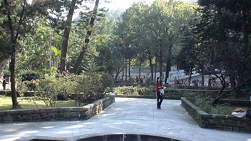 ap_20071203085655133