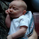 3-6 weeks old &ndash; Daddy's snuggly arm