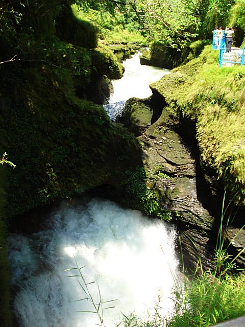 Devis Fall