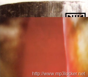 [Nin-the_fragile800[2].jpg]