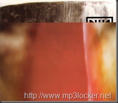 Nin-the_fragile800