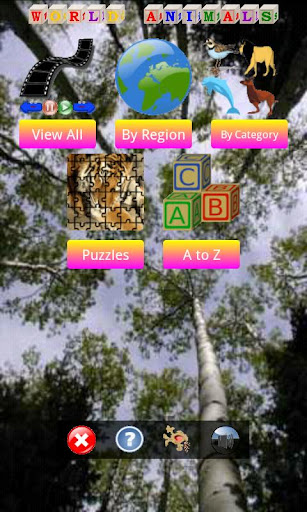 Animal World Pics and Games