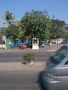 Buddha Statue in Sirimavo Bandaranayaka Mw