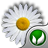 Daisy Wishes mobile app icon