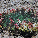 Wreath Flower