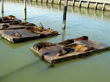 DSC02604.JPG