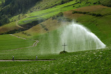 IMG_9998.jpg