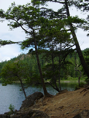 DSC02318.JPG
