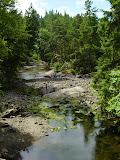 DSC02329.JPG