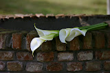 IMG_3120.JPG