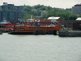 P1000176.JPG