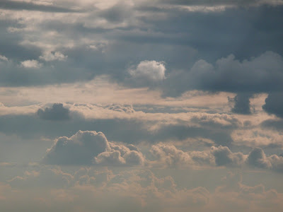 P1000209.JPG