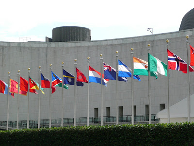 P1000254.JPG