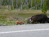 P1010249.JPG