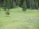 P1010257.JPG