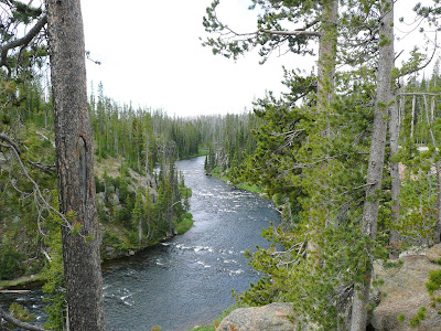 P1000657.JPG
