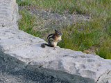 P1000928.JPG