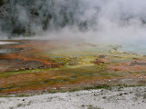 P1010080.JPG