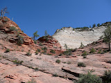 P1010777.JPG