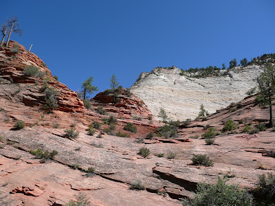 P1010777.JPG