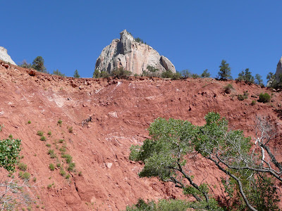 P1010645.JPG