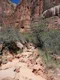 P1010667.JPG