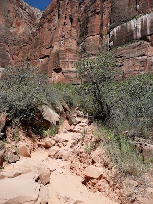 P1010667.JPG