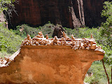 P1010676.JPG