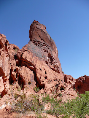 P1020623.JPG