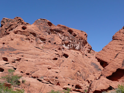 P1020630.JPG