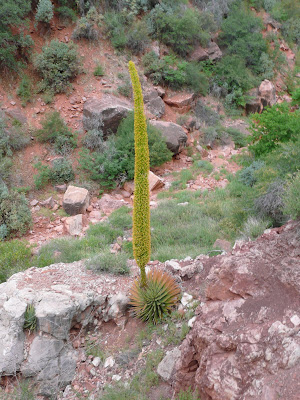 P1020446.JPG