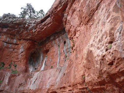 P1020464.JPG