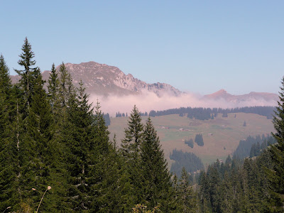 P1030300.JPG