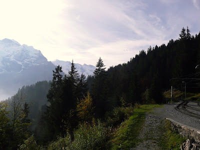 P1030317.JPG
