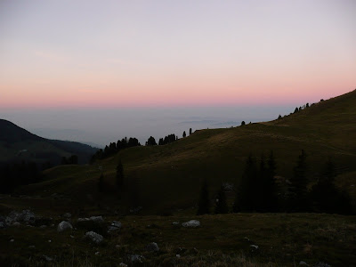 P1030460.JPG