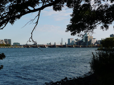 P1030505.JPG