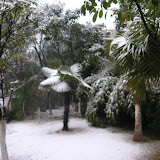 snow in ningbo