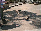 nomad4ever_indonesia_bali_landscape_CIMG1697.jpg