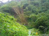nomad4ever_bali_waterfall_hotsprings_CIMG4813.jpg