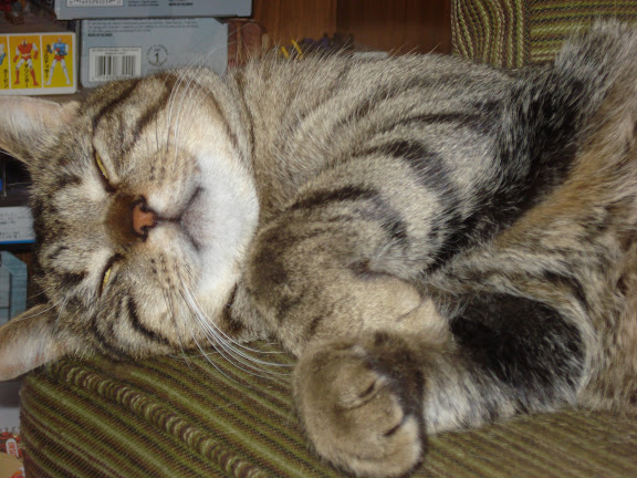 [Image: DSC00748.JPG?imgmax=576]